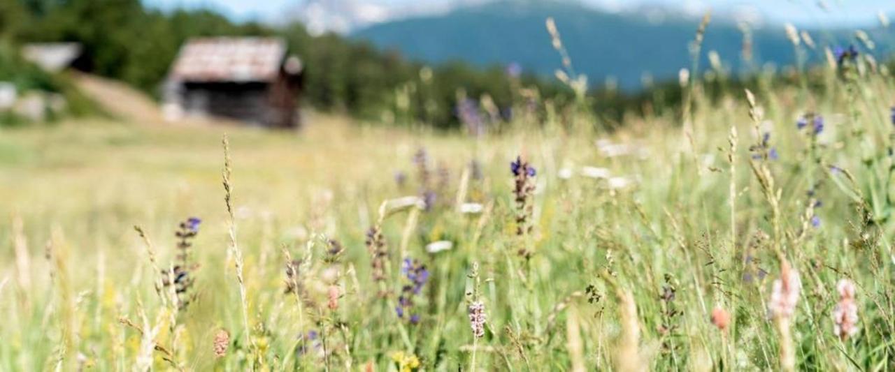Hotel Restaurant Buerchnerhof Bürchen エクステリア 写真